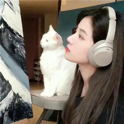 我的小牛与总统